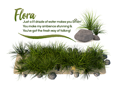 Flora behance flora grass project rocks sand starfish text