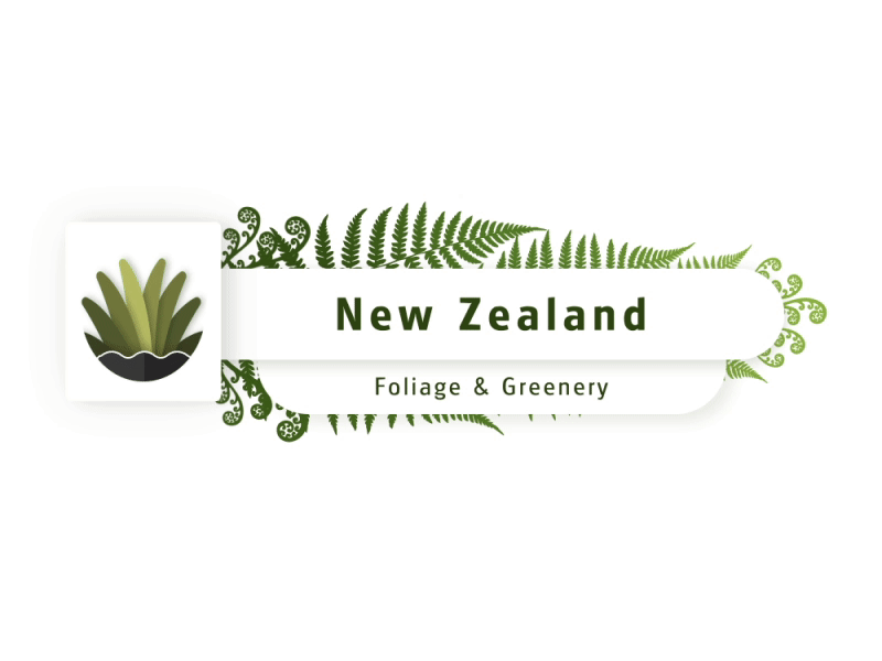 Lower Third | New Zealand Foliage & Greenery 2d flora foliage greenery lowerthird motion graphics newzealand