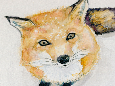 Foxy animal drawing fashion fox illustration painting watercolor