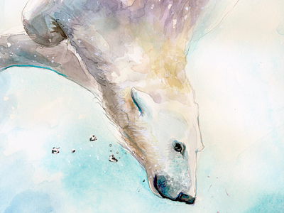 Swimming animal cold painting pastel polar bear water watercolor