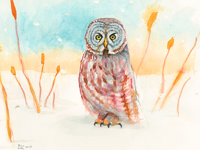 Great Grey Owl Watercolour illustration owl painting snow watercolor