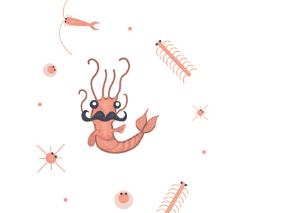 Shrimp & Plankton arctic illustration mustache ocean plankton seafood shrimp texture