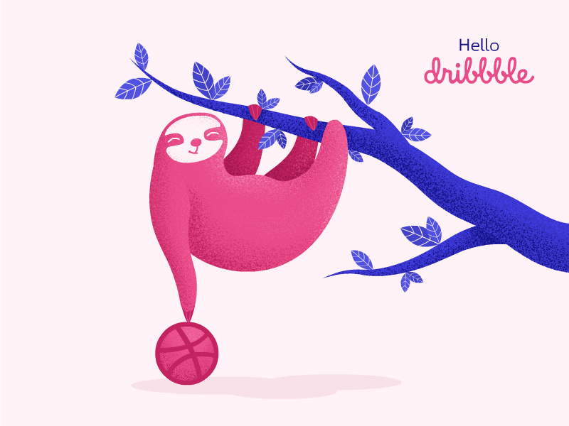 Hello, Dribbble! animation debutshot design firstshot hello dribble illustration invite sloth vector