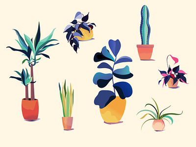 Various indoor plant pots beautiful cacti cactus collection design flora graphic home illustration interior modern palm plant plantpots vector