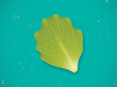 Lettuce topping illustration veggie vegetable lettuce ingredient gaming game tabletop burger card game