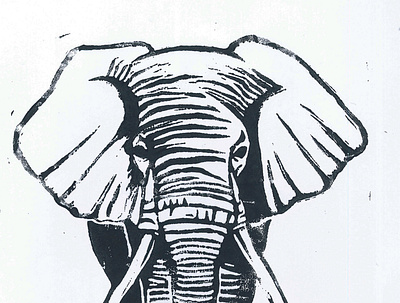 elephant / linogravure / illustration blanc elephant illustration linogravure noir