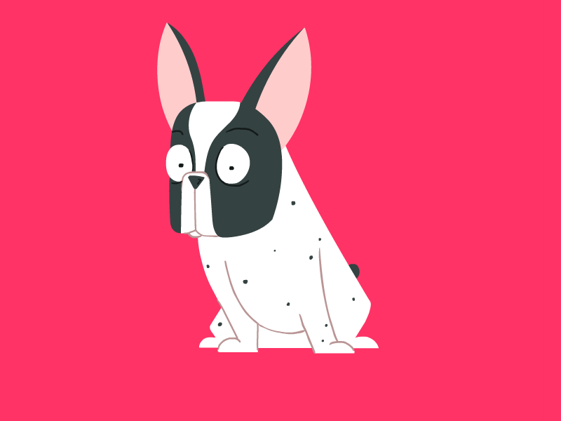 50 / 50 pet fun trick frenchbulldog dog adobe animate illustration cellanimation frame by frame charachter design loop animation 2d gif
