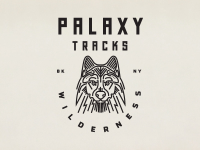 Palaxy tracks2