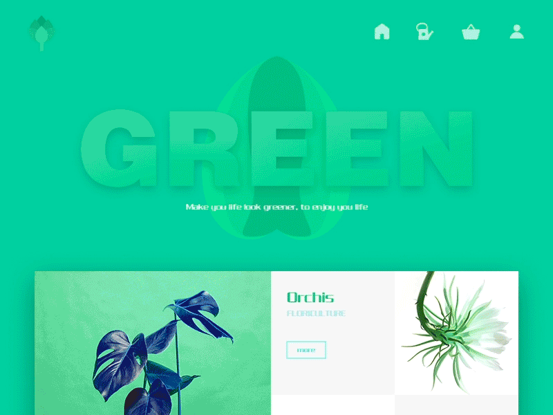 Green life ae app illustration web