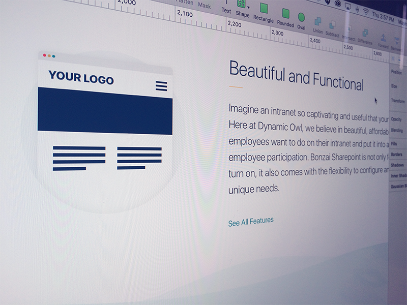 Benefits Page features intranet bonzai wip beautiful icon teal sketch design ui website