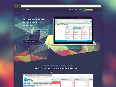 Dashtab Landing Page Concept dashtab flat polygon salesforce shane brown slider