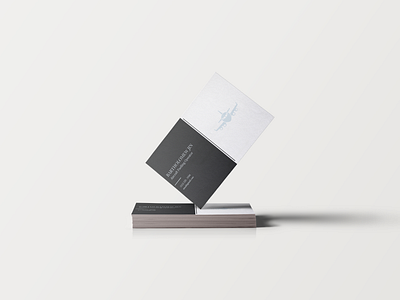 Business Cards for an Aviation Professional