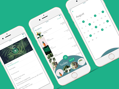 Plant watering app app case study framer plant ux