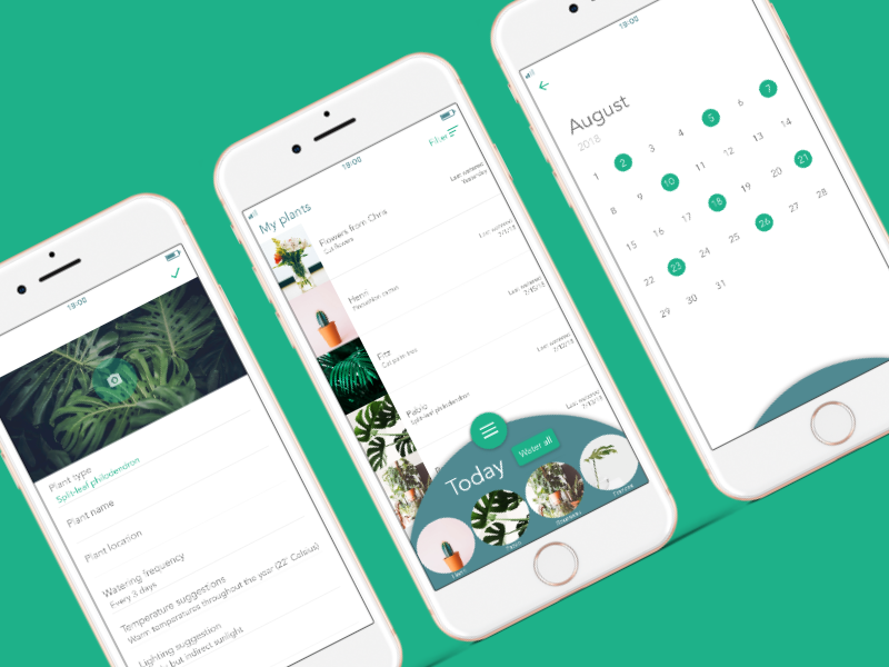 Plant watering app by Kaleigh Flynn on Dribbble