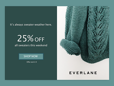 Daily UI #036: Special Offer clothes daily 100 dailychallenge design discount everlane offer ui