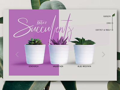 Katie's Succulents cactus homepage landing page plant pot script succulents ui