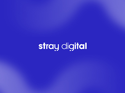 Stray Digital branding design illustration logo ui web