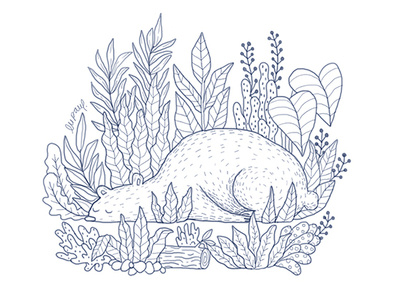 Nap Time bear illustration plants