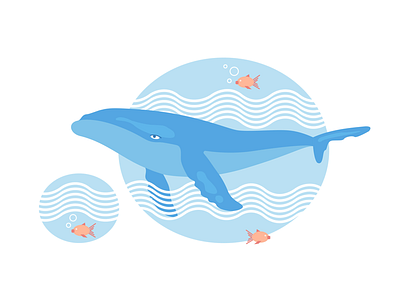 Happy Humpback illustration ocean vector whale