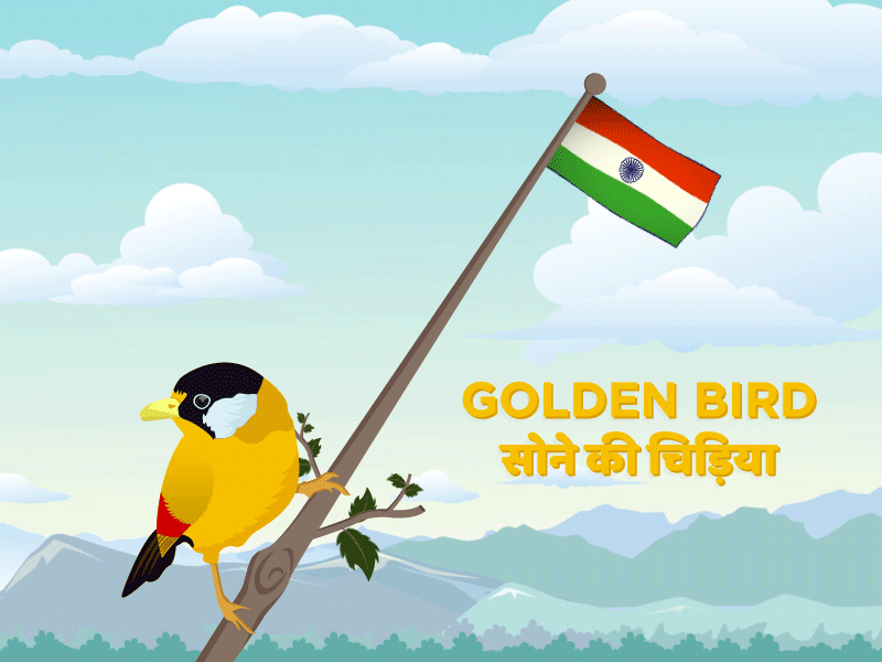 Golden Bird adobe ilustrator animated animated gif animation art bird illustration creative design digital art graphic design i love india illustration iloveindia india motion motion design vector