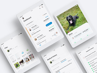 Medical iPad App Interface animal care clean clean ui dashboad dribbble best shot dribble files history ios ipad ipad app ipadpro media medical minimal modern design product design ui ux visual design