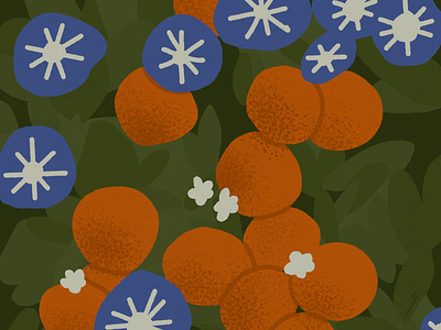 Oranges aesthetics art design illustration illustrator melmelart oranges painting