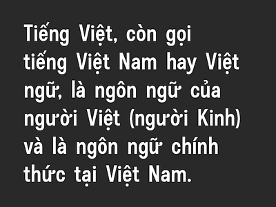 Untitled No. 1 - Vietnamese Diacritics diacritics sans serif type type design vietnamese