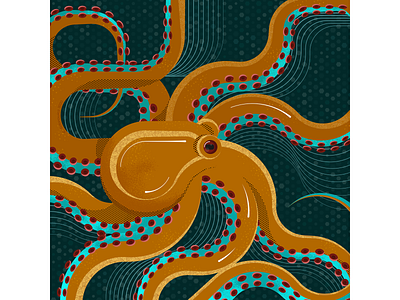 Octopuspus animals illustration nature