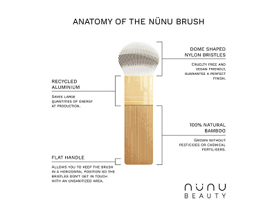 Brush Anatomy for NÜNU beauty brush illustration infographic