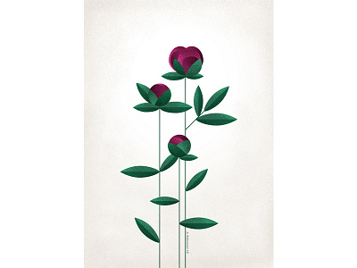 Pretty flower for a pretty lady? flower flowers illustration plants