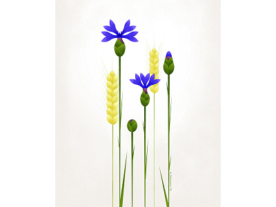 Chabry flower flowers illustration plants