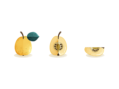 Quince food fruits illustration