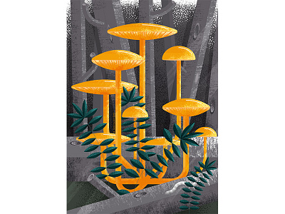 Mycena leaiana illustration mushrooms nature plants