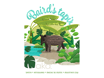 Baird's tapir animals animals illustrated illustration nature