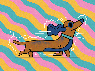 Hot Dog animal color dog fun glasses hot illustration summer sun vibrant walk
