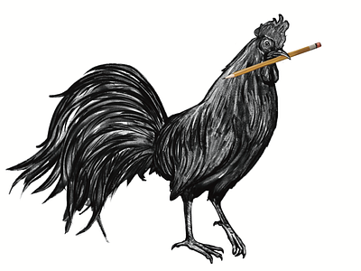 Rooster editorial illustration illustration illustration art pencil procreate rooster website illustration
