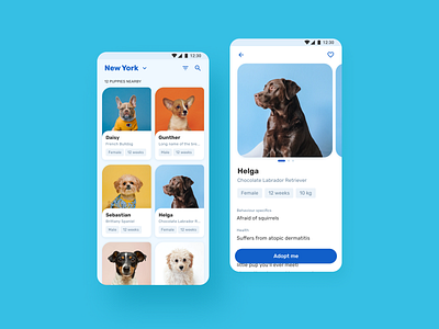 Puppy adoption — mobile app adoption android app application design dog figma flat interface mobile pet puppy ui user interface
