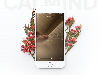 Calmind - Introducing app application calmind ios iphone productivity tool ux