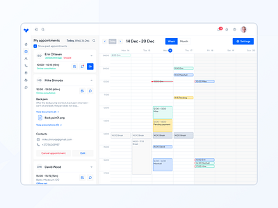 Calendar page appointment calendar cards consultation doctor medical online schedule ui visit web