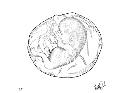 Build baby build child fetus life