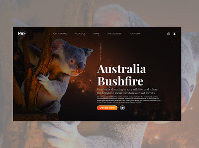Australia Bushfire Donation UI graphicdesign homepage layout typogaphy ui uidesign ux uxdesign webdesign