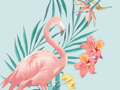 Flamingo apparel design flamingo illustration illustration art ilustrator pullbear swimmwear collection textile design vector art