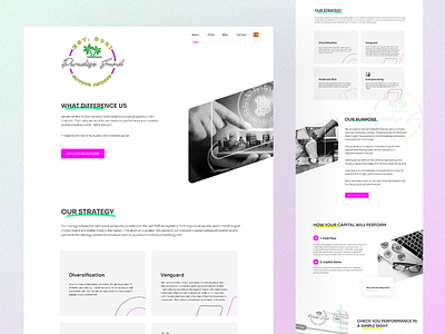 Paradige.Fund Landing Page Design