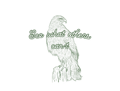 Hawk adobe illustrator art eagle graphic hand drawn hawk illustration logo nature sketch text vector wild