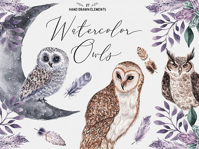 Watercolor Owls - Set birds book cover character clipart design drawing flower greeting card illustration invitation owls watercolor