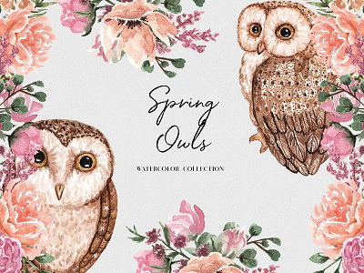 Spring Owls book cover card clipart design design elements drawing greeting card hand drawn illustration invitation owls party vintage watercolor