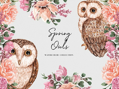 Spring Owls