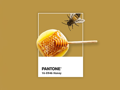Pantone honey adobe ads advertising bee character design design photoshop illustration gold grahicdesign graphic graphicdesign honey illustration inspiration pantone photoshop yellow