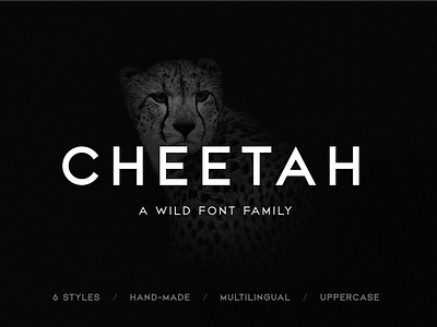 CHEETAH Sans Serif Font Family