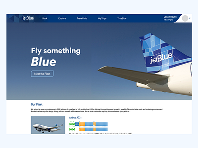 jetBlue Splash Page jetblue uichallenge